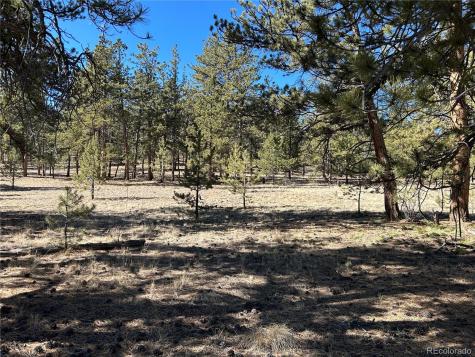147 Haystack Road Hartsel CO 80449