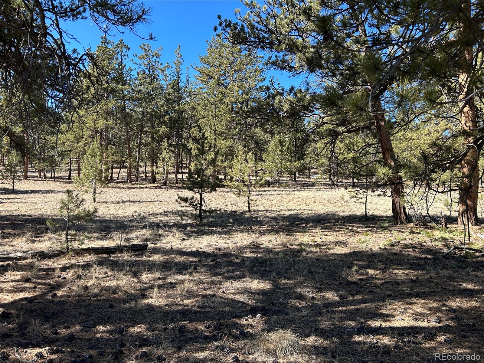 147 Haystack Road Hartsel CO 80449
