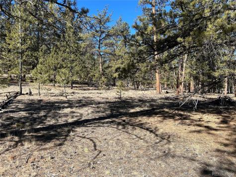 147 Haystack Road Hartsel CO 80449