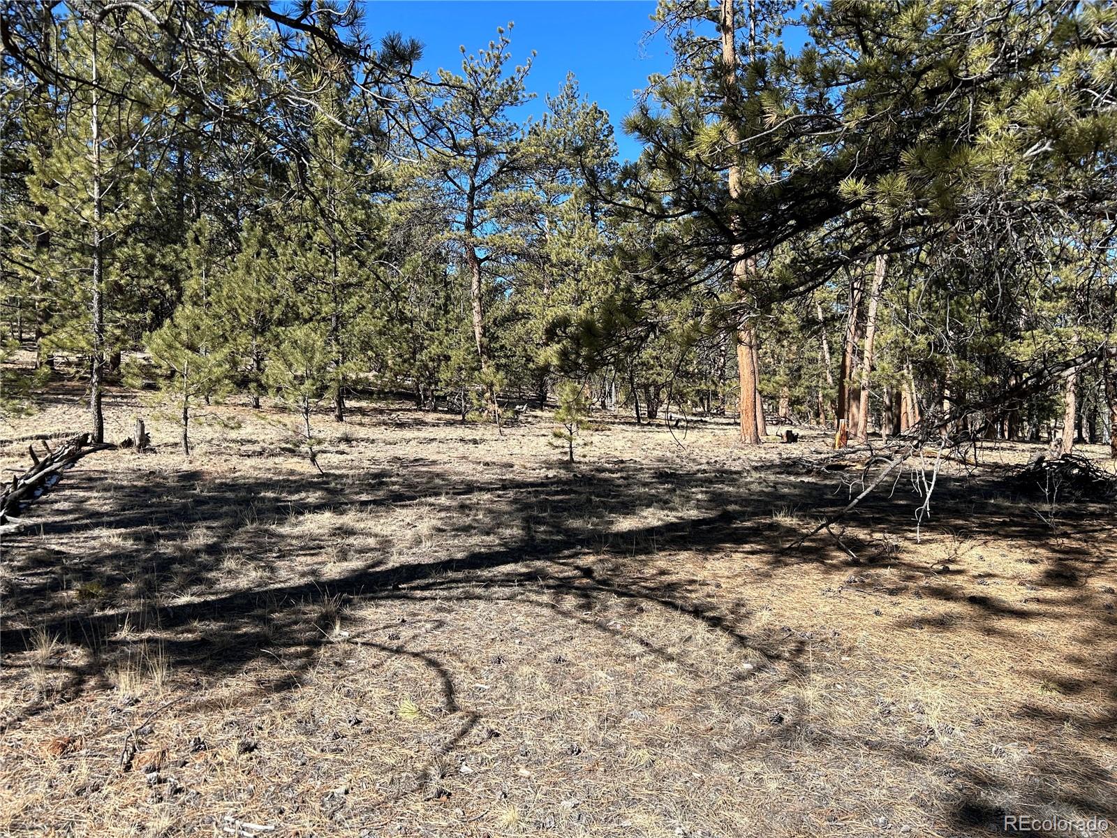 147 Haystack Road Hartsel CO 80449