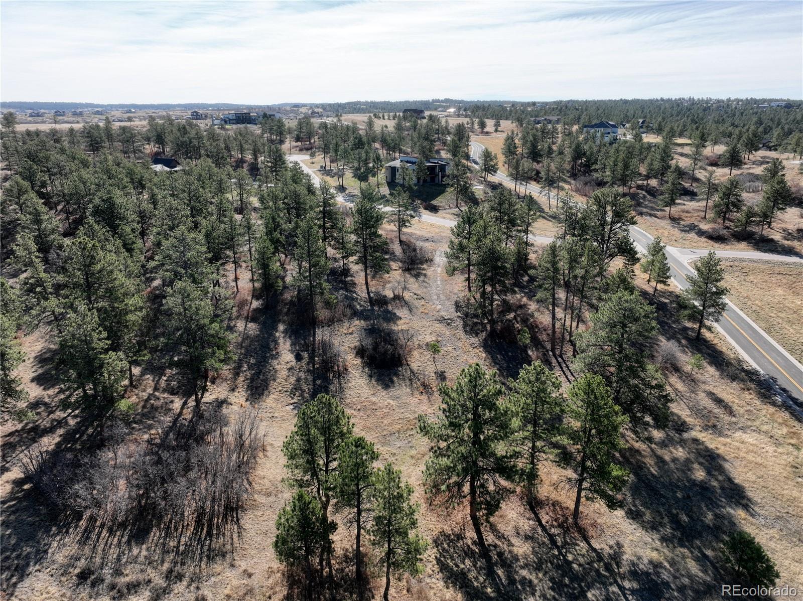 8125 Pine Straw Place Franktown CO 80116