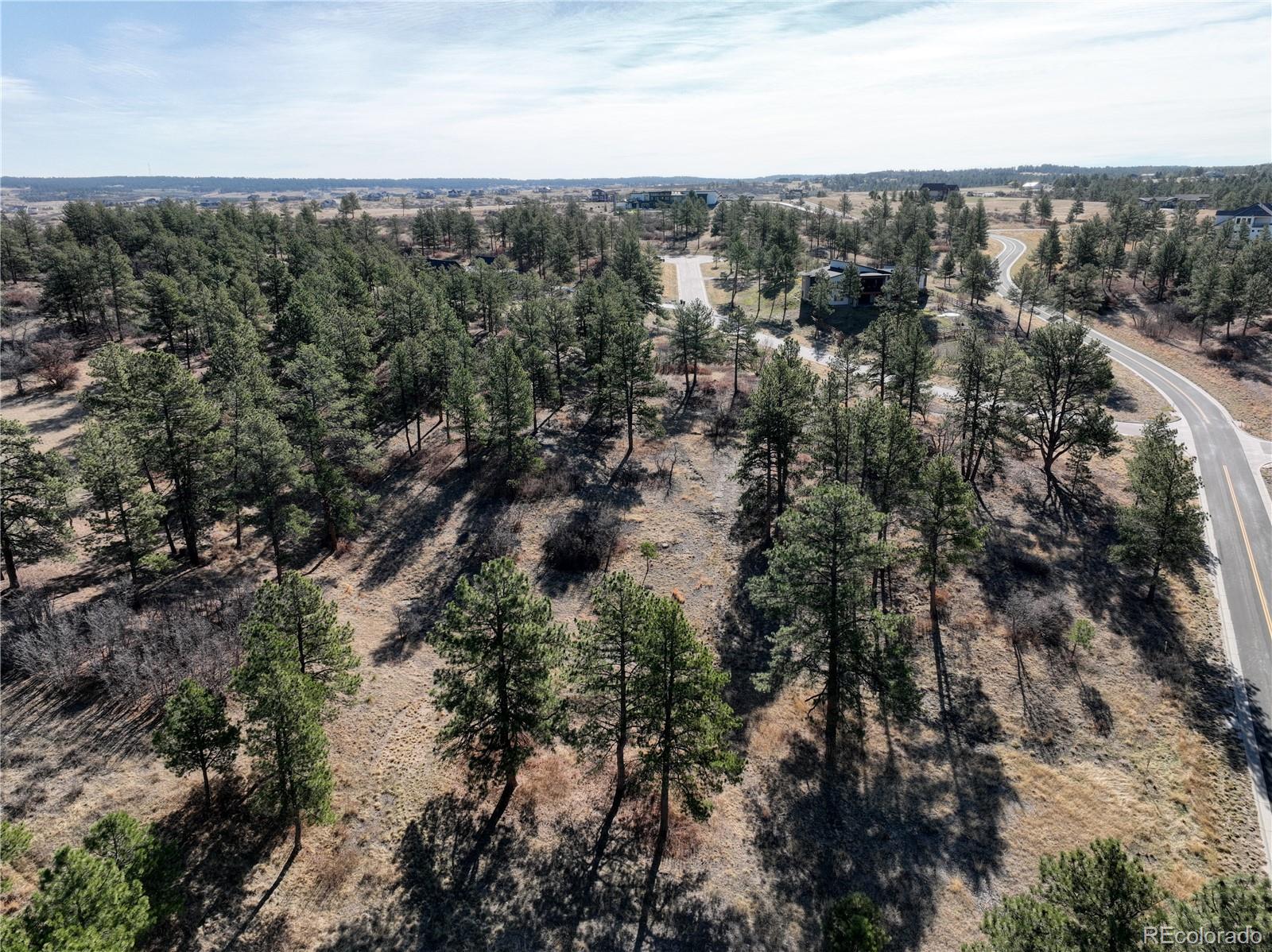 8125 Pine Straw Place Franktown CO 80116