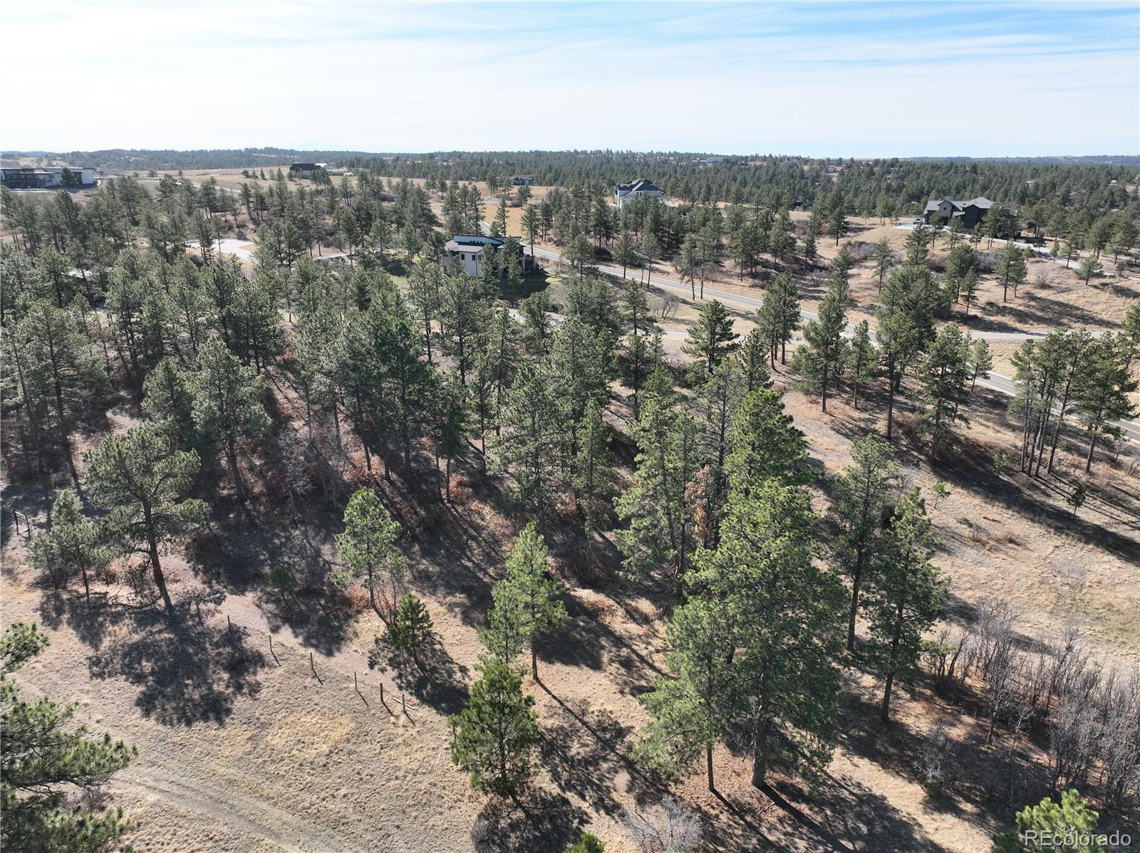 8125 Pine Straw Place Franktown CO 80116