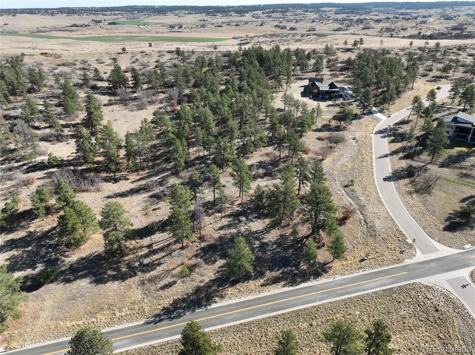 8125 Pine Straw Place Franktown CO 80116