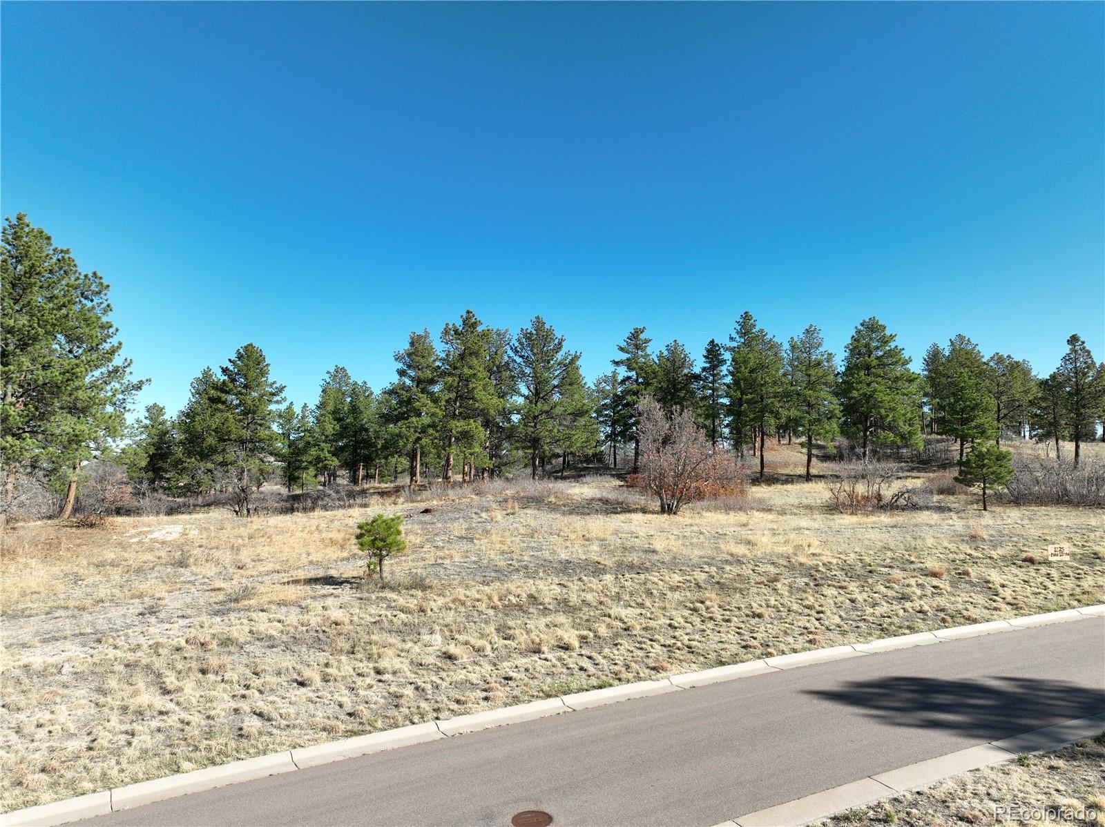 8125 Pine Straw Place Franktown CO 80116