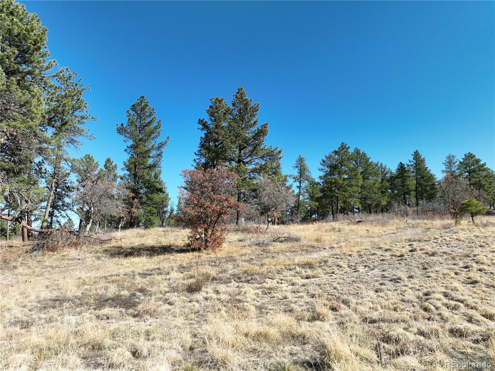 8125 Pine Straw Place Franktown CO 80116