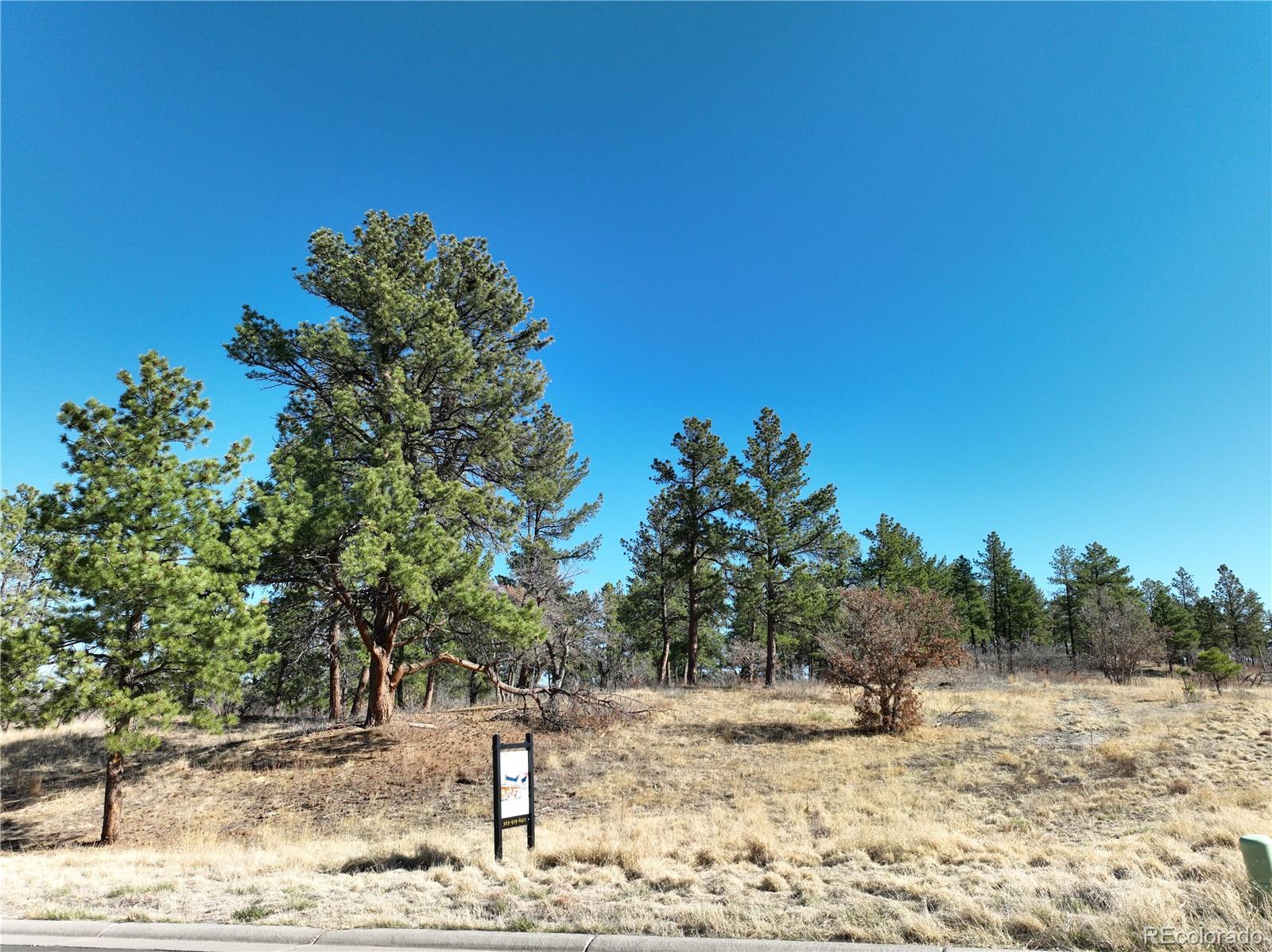 8125 Pine Straw Place Franktown CO 80116