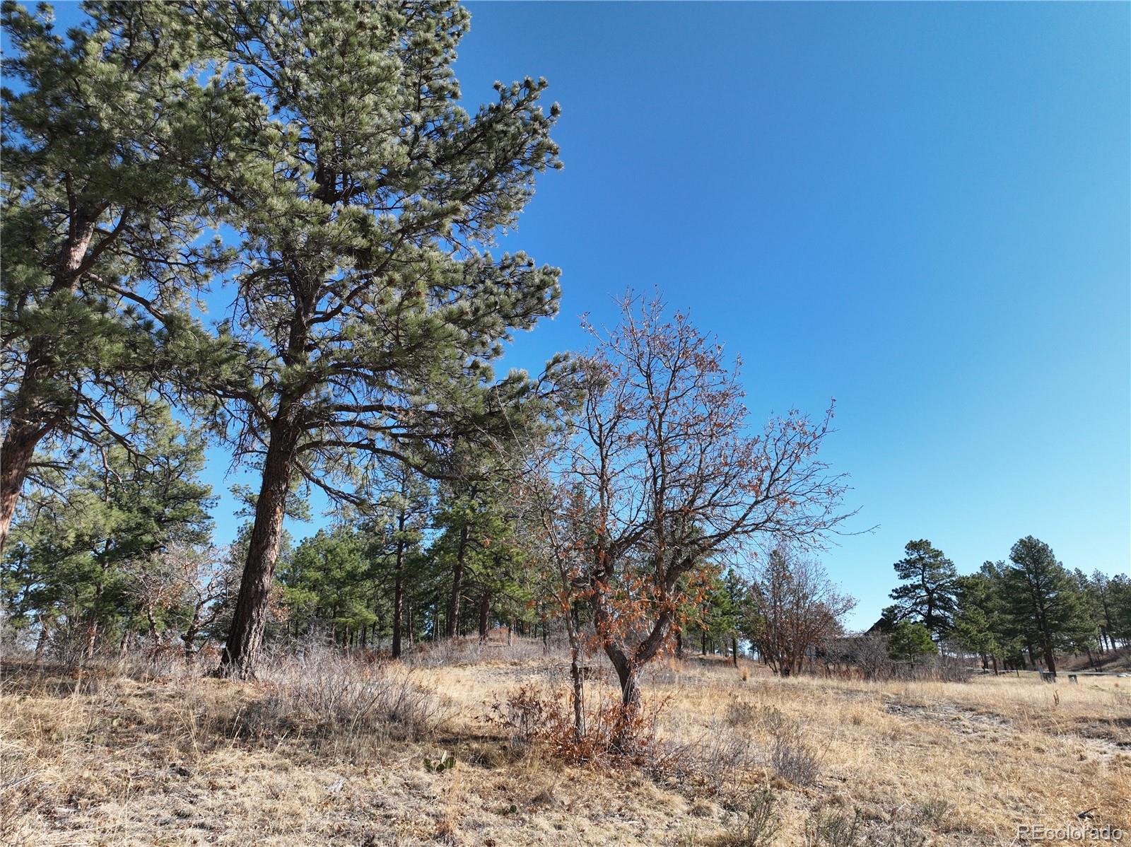 8125 Pine Straw Place Franktown CO 80116