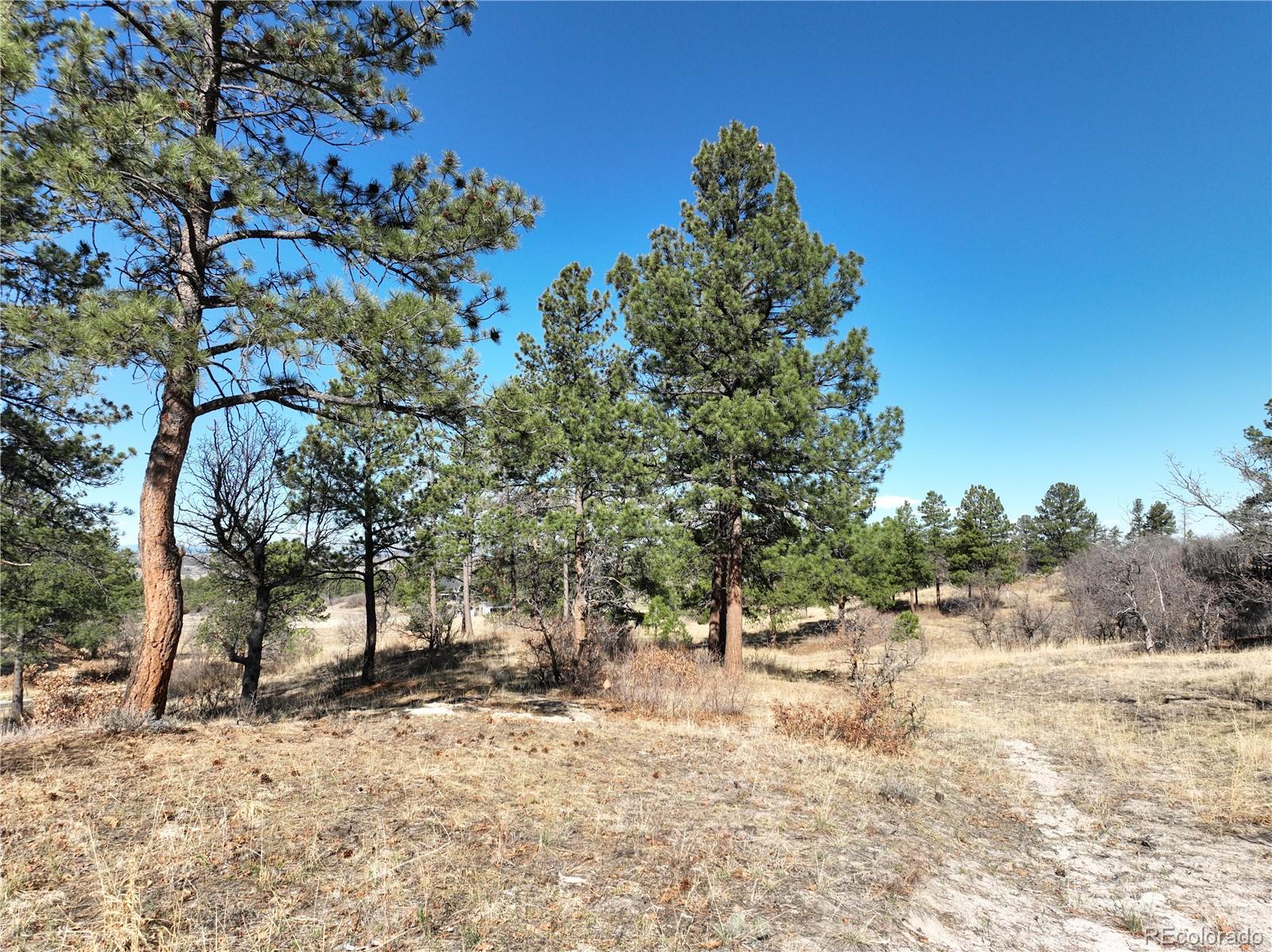 8125 Pine Straw Place Franktown CO 80116