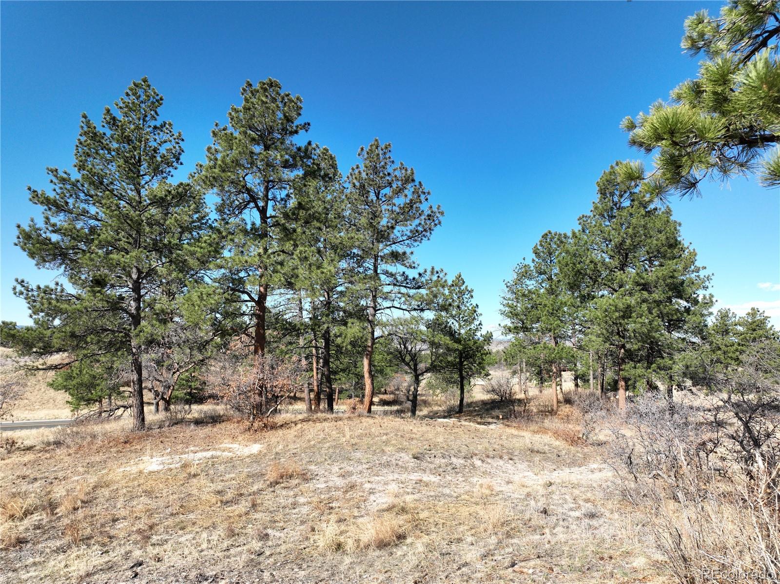 8125 Pine Straw Place Franktown CO 80116