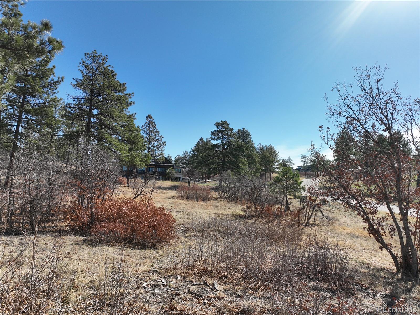 8125 Pine Straw Place Franktown CO 80116