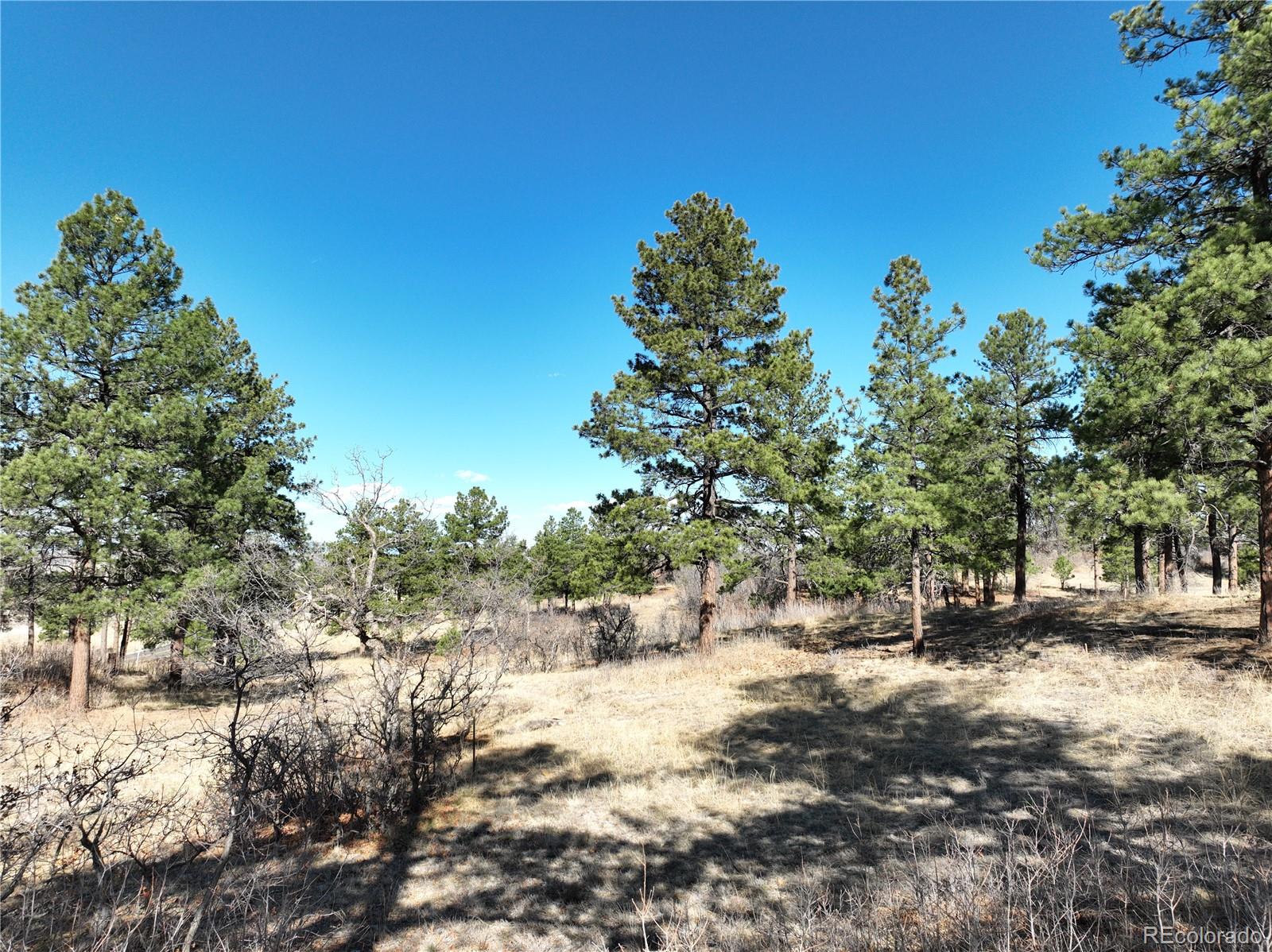 8125 Pine Straw Place Franktown CO 80116