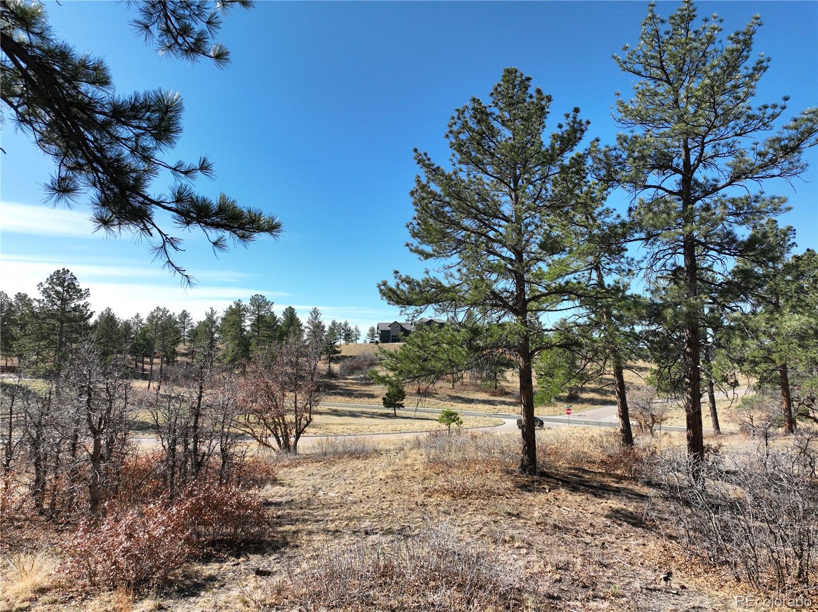 8125 Pine Straw Place Franktown CO 80116