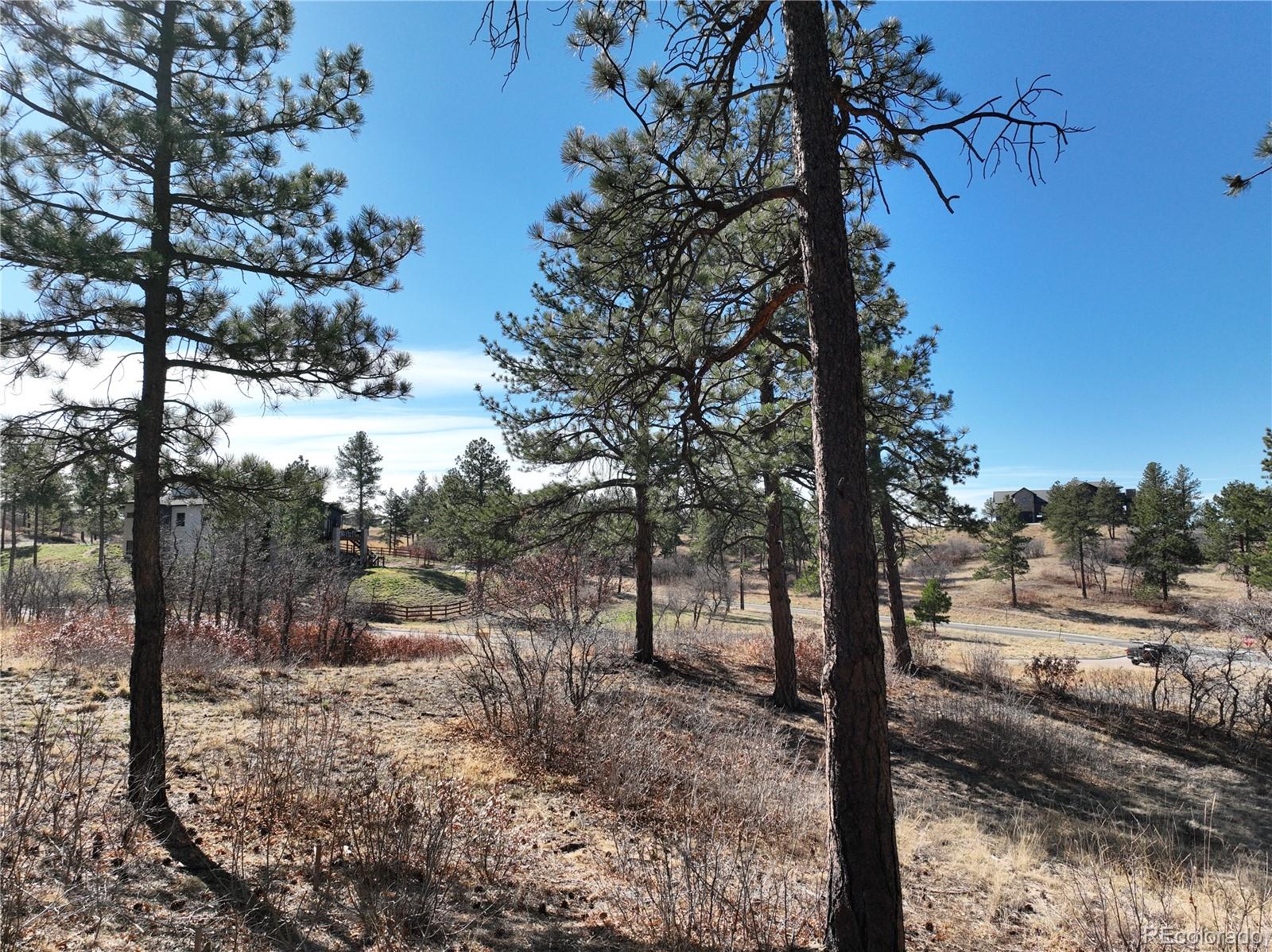 8125 Pine Straw Place Franktown CO 80116
