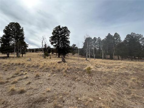 1421 Pitchfork Road Hartsel CO 80449