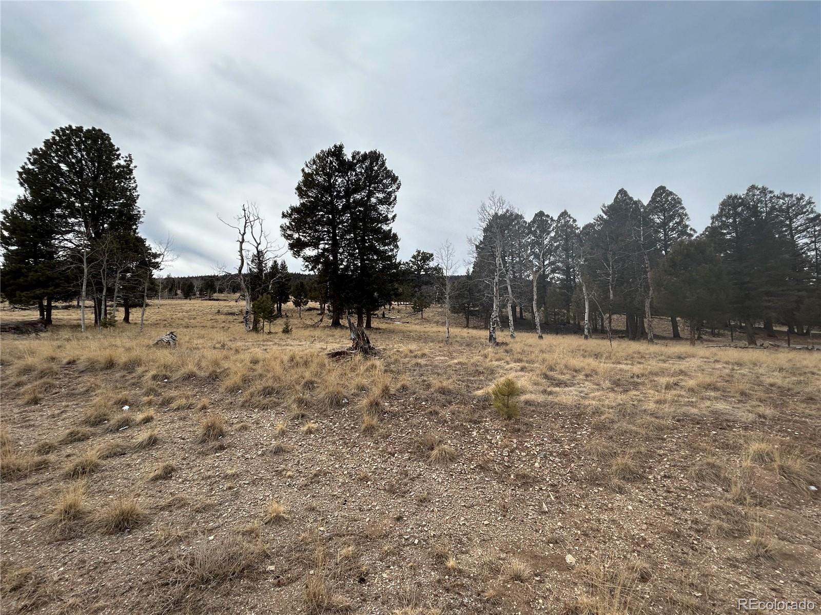 1421 Pitchfork Road Hartsel CO 80449