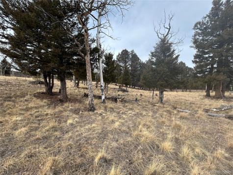 1421 Pitchfork Road Hartsel CO 80449