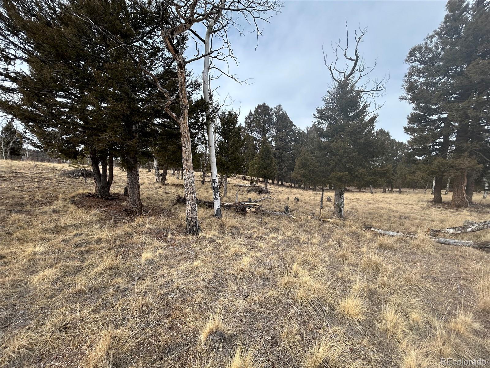 1421 Pitchfork Road Hartsel CO 80449