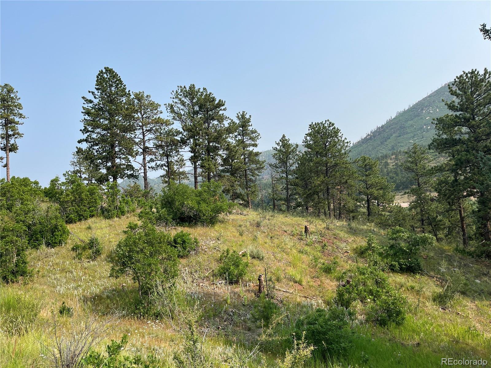 5330 Chipita Pines Drive Cascade CO 80809