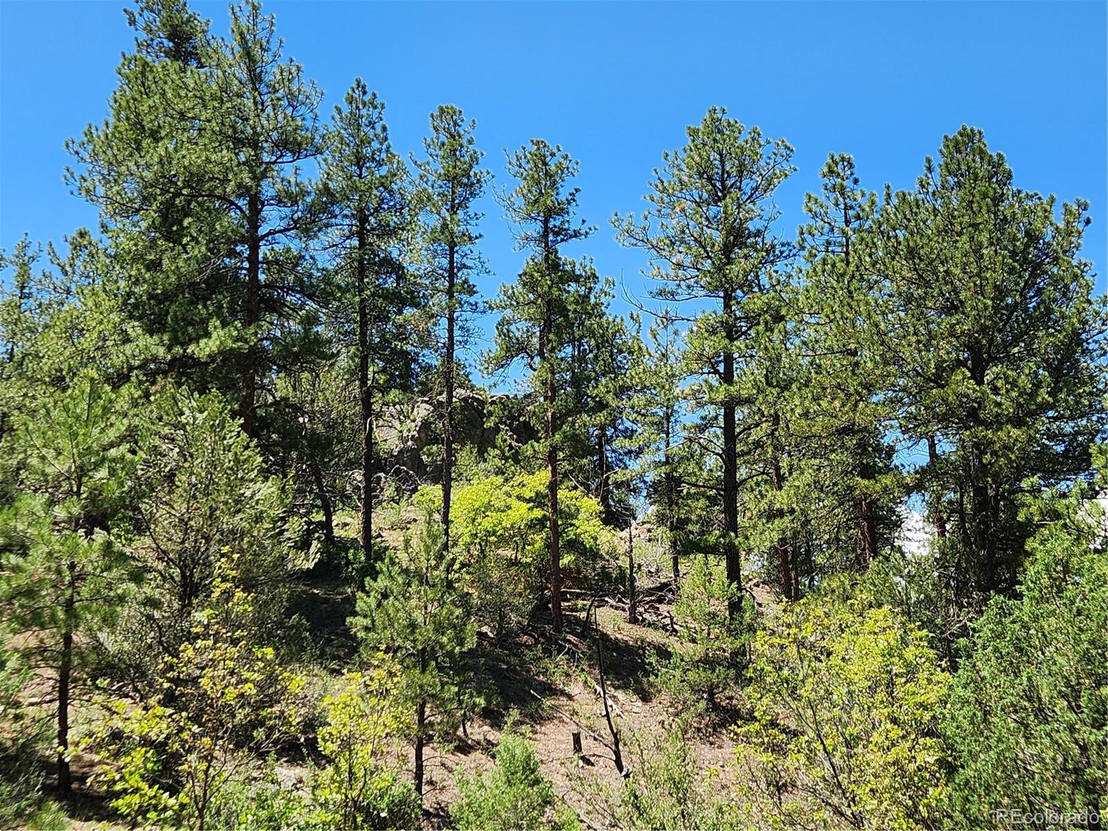 102 Kevin Drive Cotopaxi CO 81223