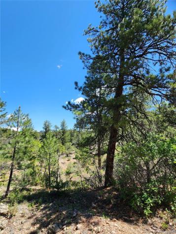 102 Kevin Drive Cotopaxi CO 81223
