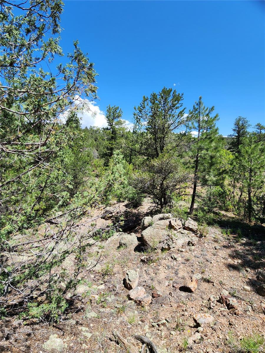 102 Kevin Drive Cotopaxi CO 81223