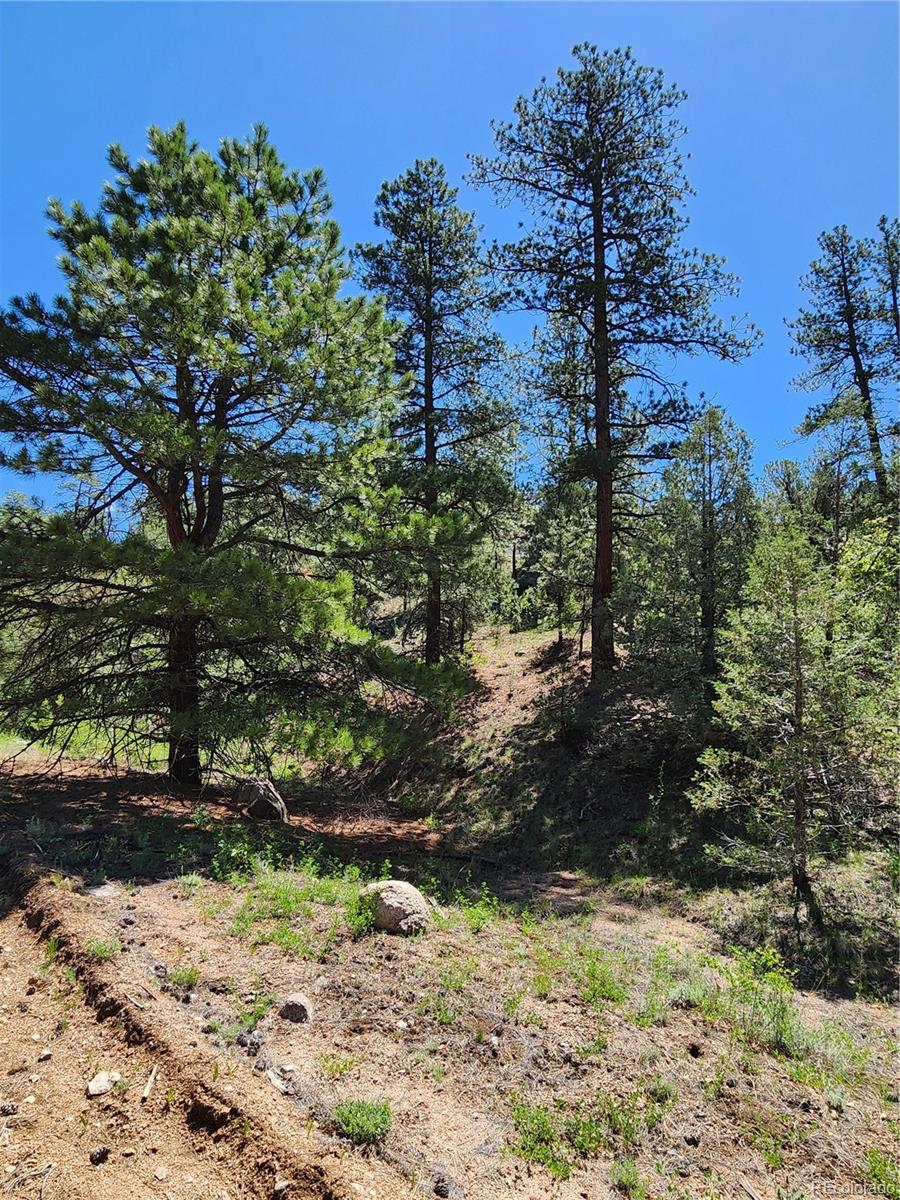 102 Kevin Drive Cotopaxi CO 81223
