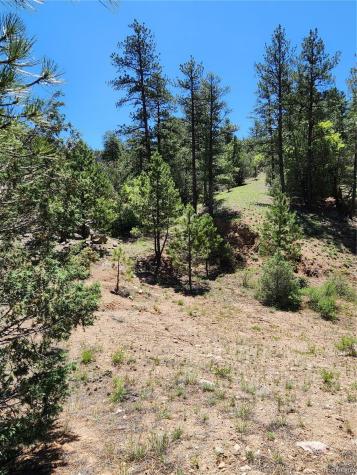 102 Kevin Drive Cotopaxi CO 81223