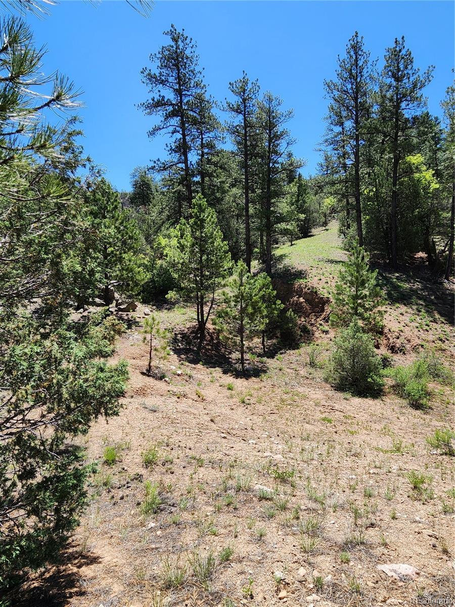102 Kevin Drive Cotopaxi CO 81223