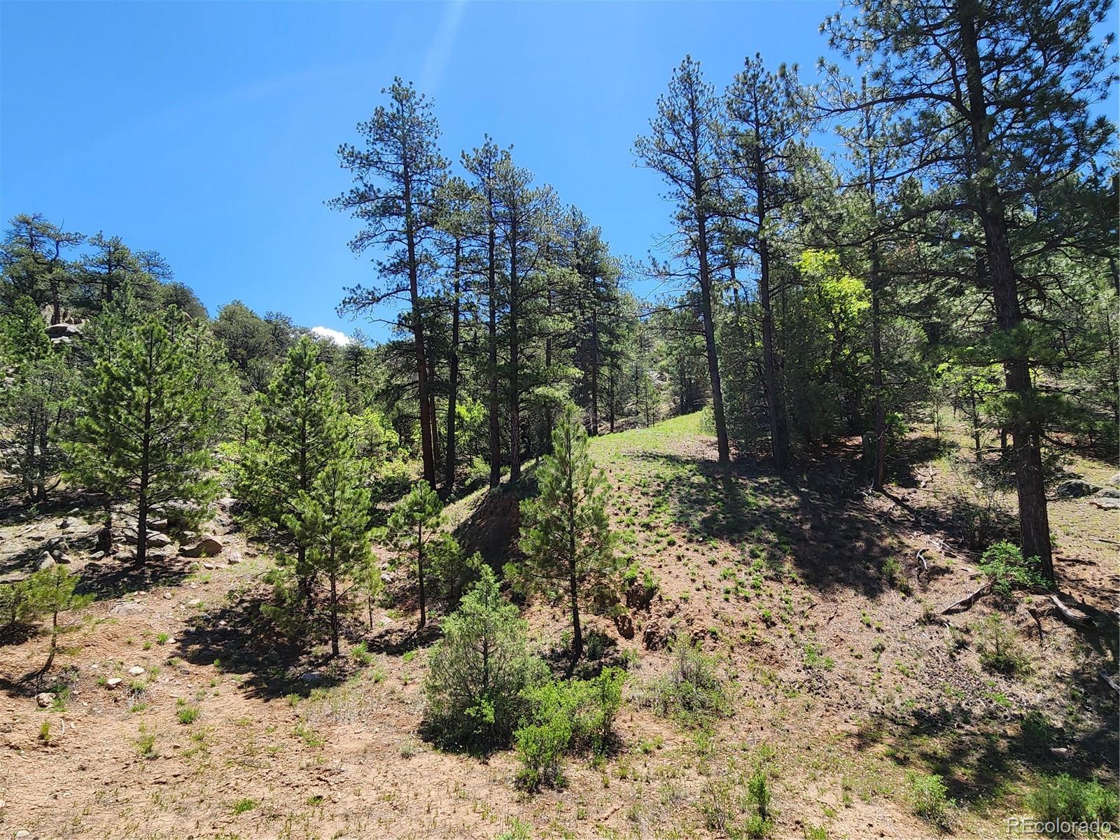 102 Kevin Drive Cotopaxi CO 81223