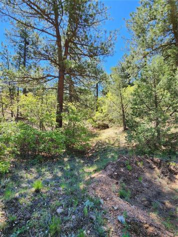 102 Kevin Drive Cotopaxi CO 81223