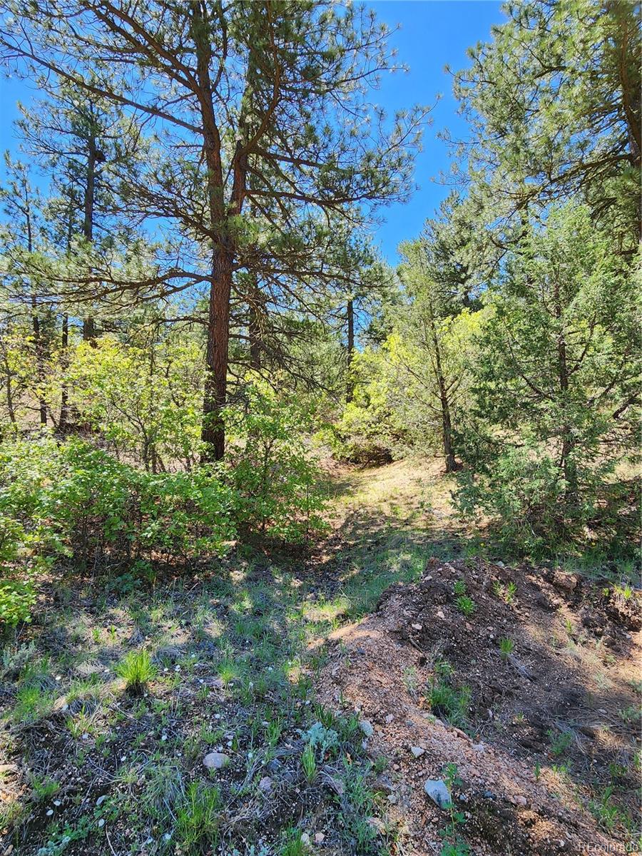 102 Kevin Drive Cotopaxi CO 81223