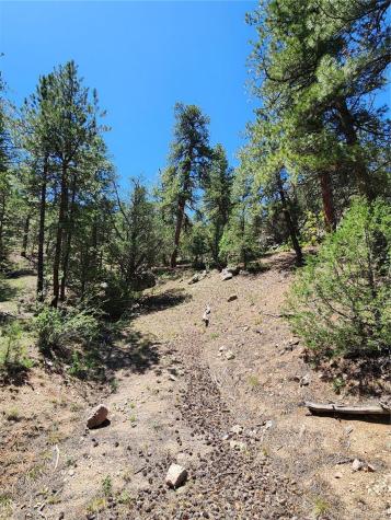 102 Kevin Drive Cotopaxi CO 81223