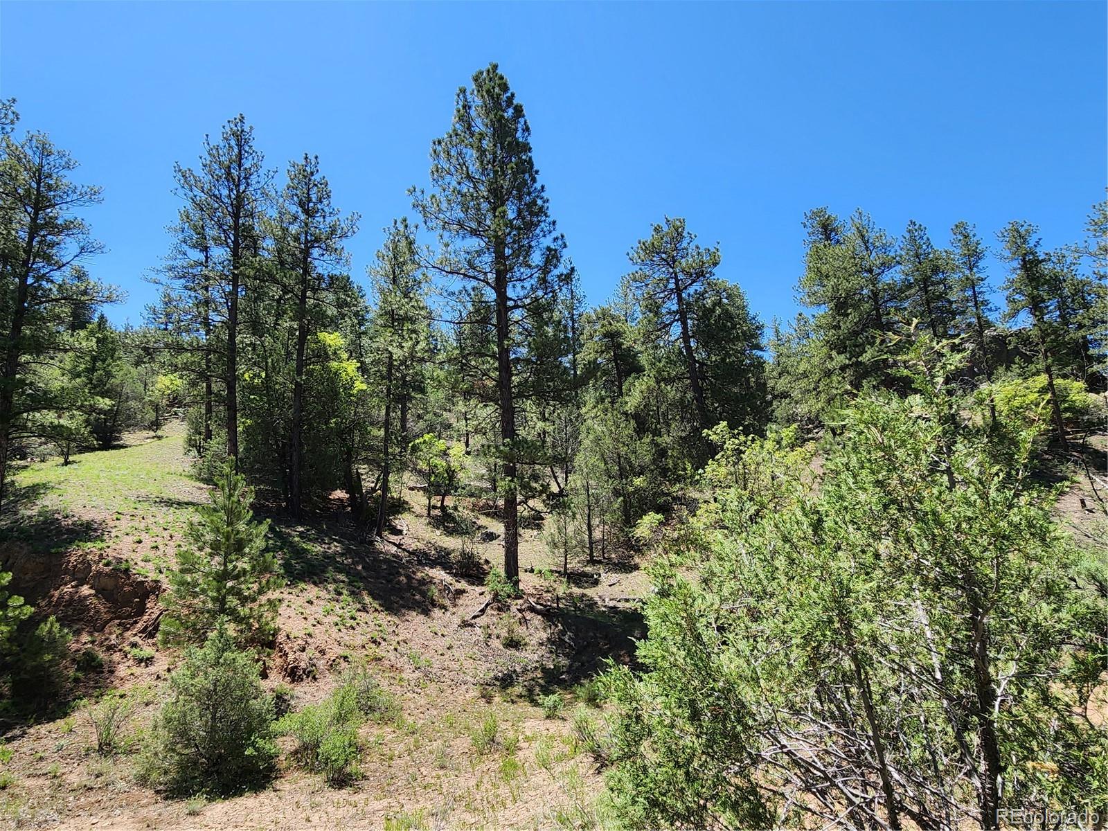 102 Kevin Drive Cotopaxi CO 81223
