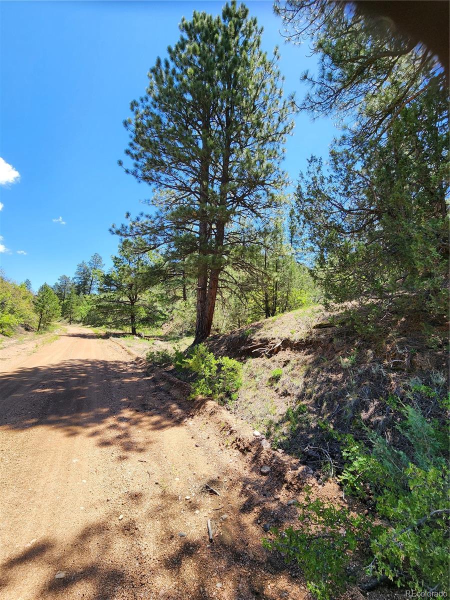 102 Kevin Drive Cotopaxi CO 81223