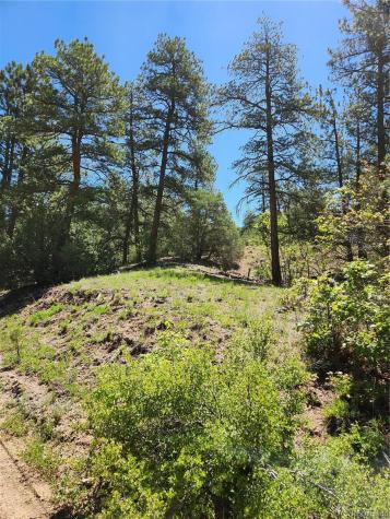 102 Kevin Drive Cotopaxi CO 81223