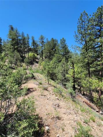 102 Kevin Drive Cotopaxi CO 81223