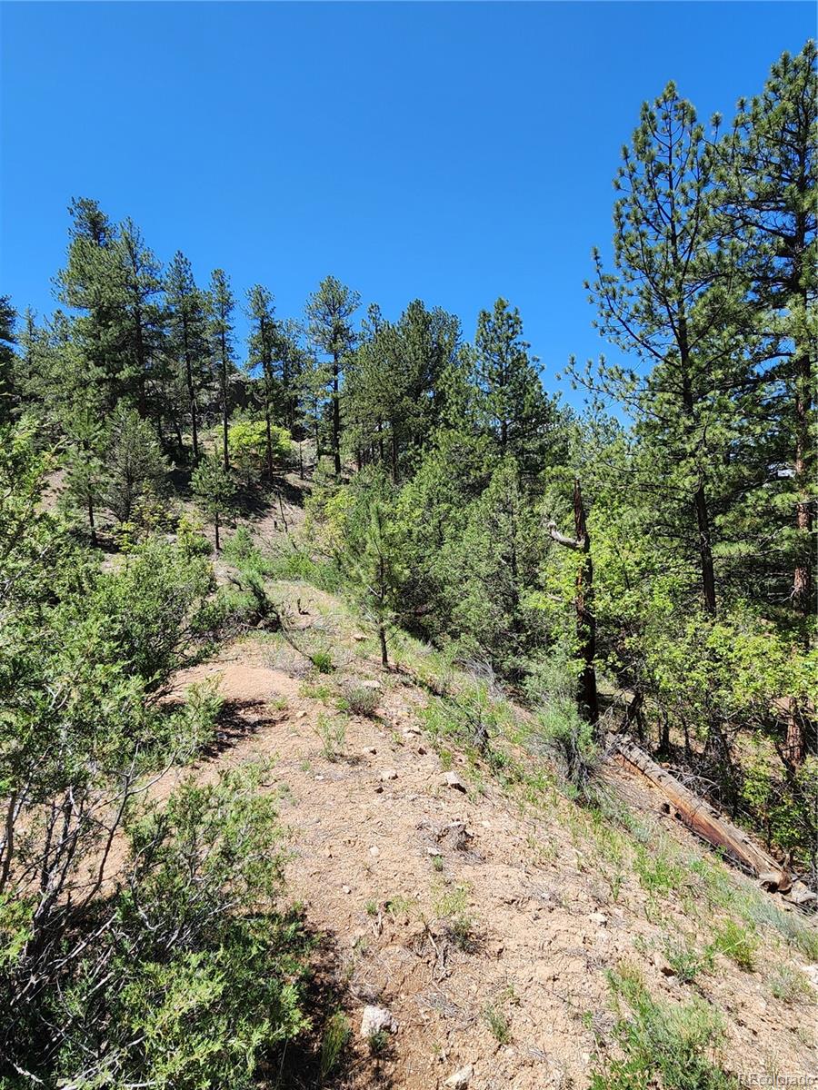 102 Kevin Drive Cotopaxi CO 81223