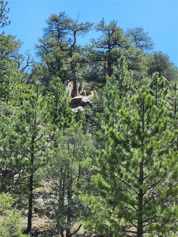 102 Kevin Drive Cotopaxi CO 81223