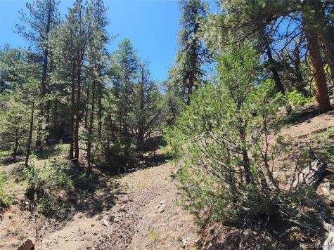 102 Kevin Drive Cotopaxi CO 81223