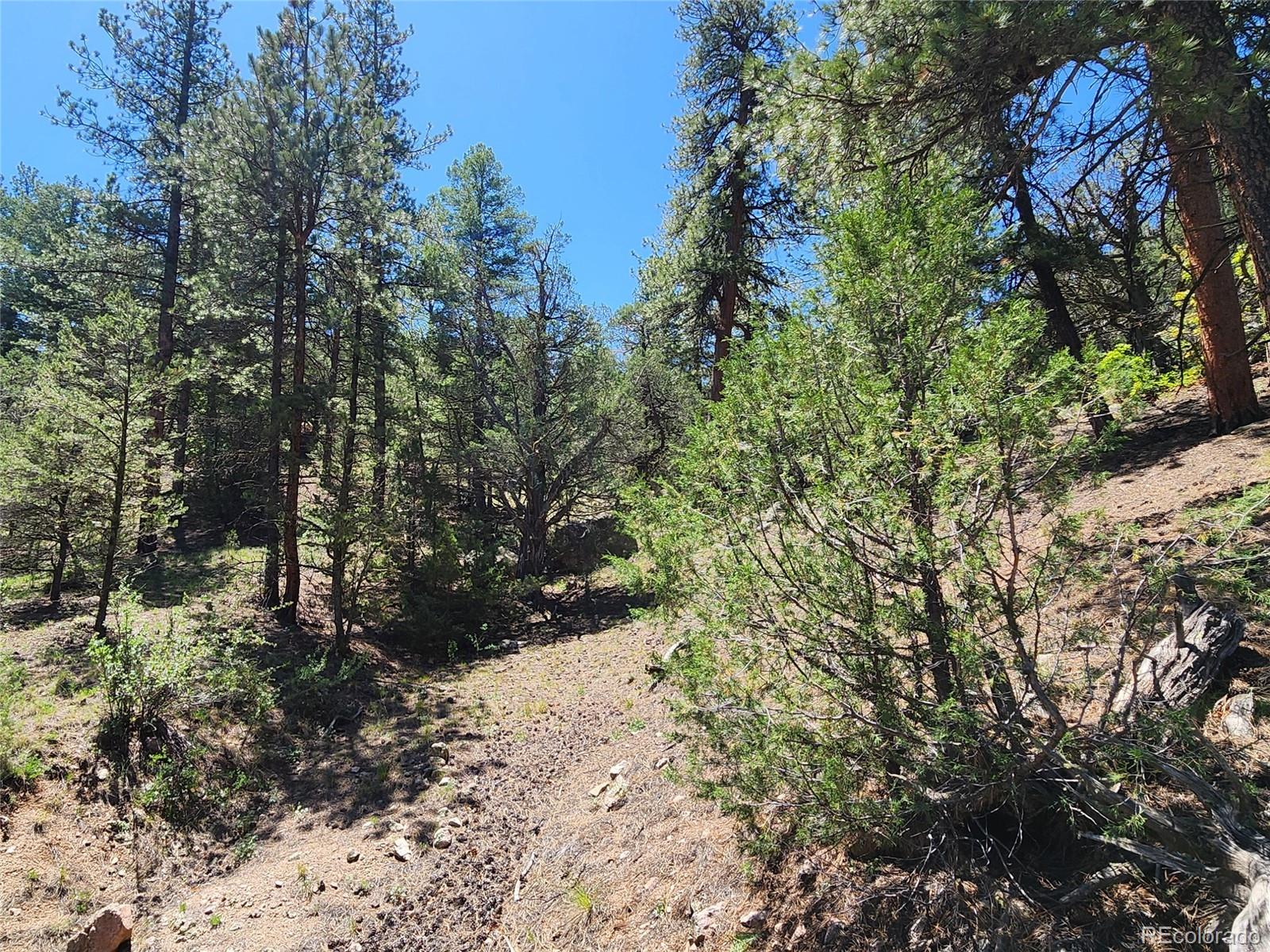102 Kevin Drive Cotopaxi CO 81223