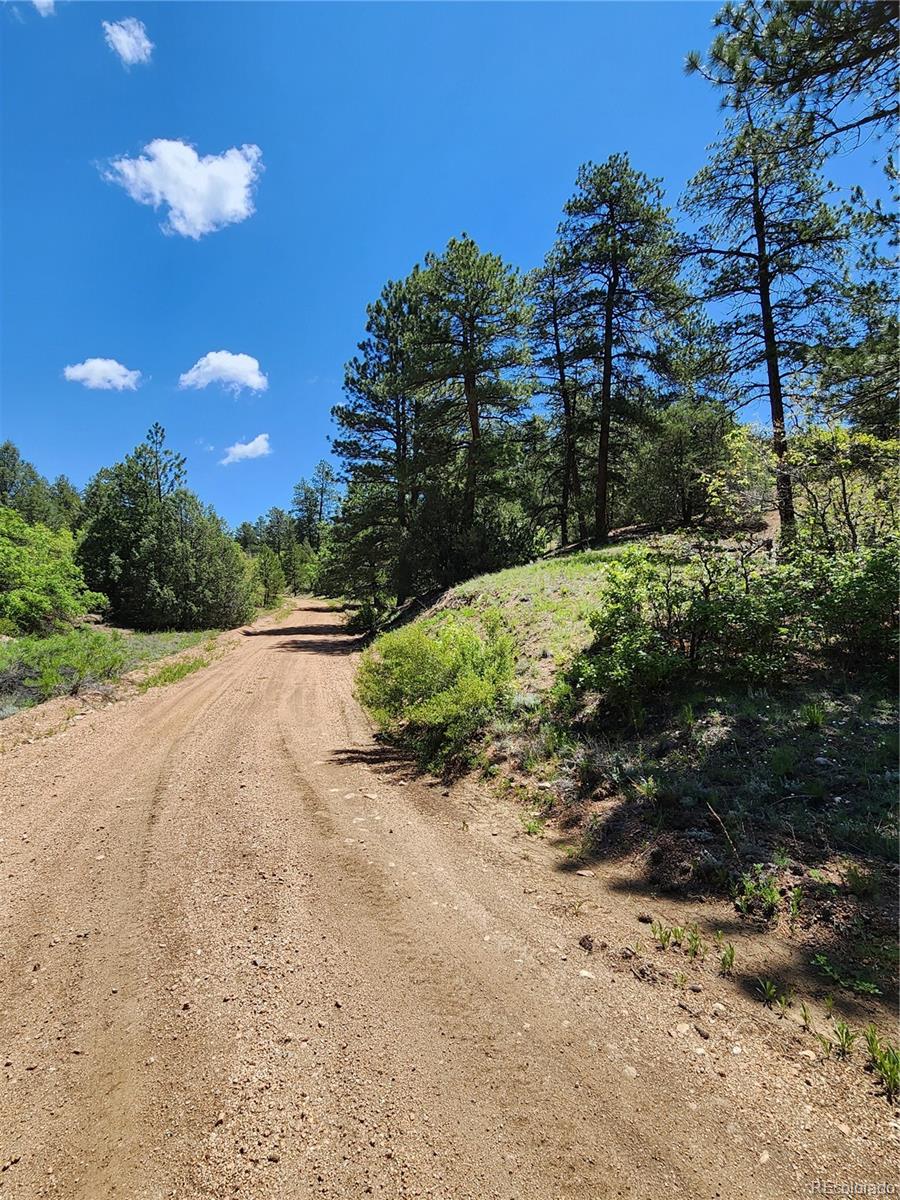 102 Kevin Drive Cotopaxi CO 81223
