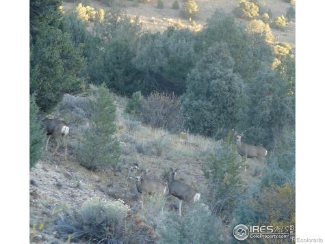 0 Cr-15 South Fork CO 81154