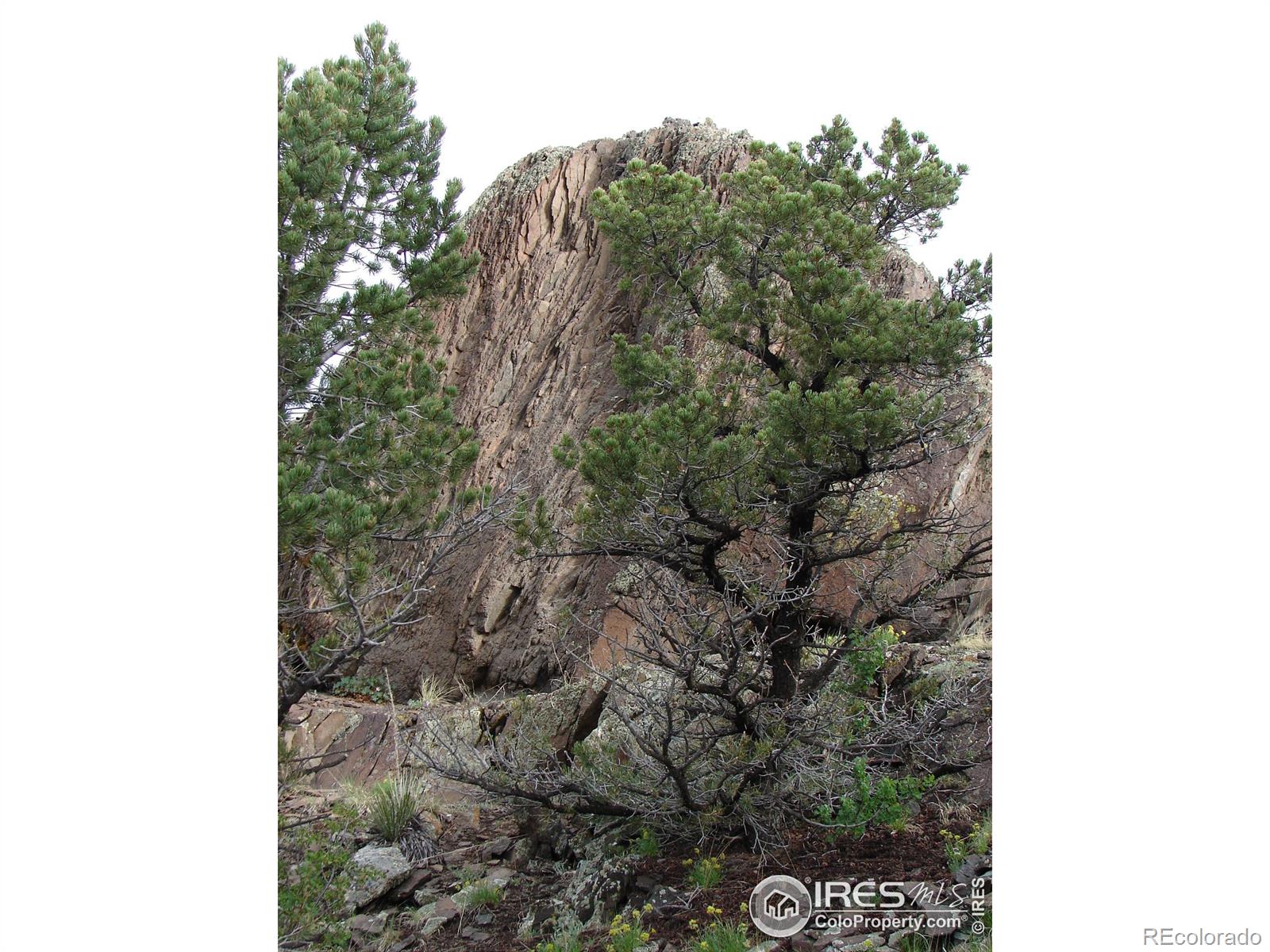 0 Cr-15 South Fork CO 81154