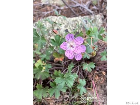 0 Cr-15 South Fork CO 81154