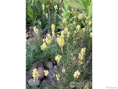0 Cr-15 South Fork CO 81154