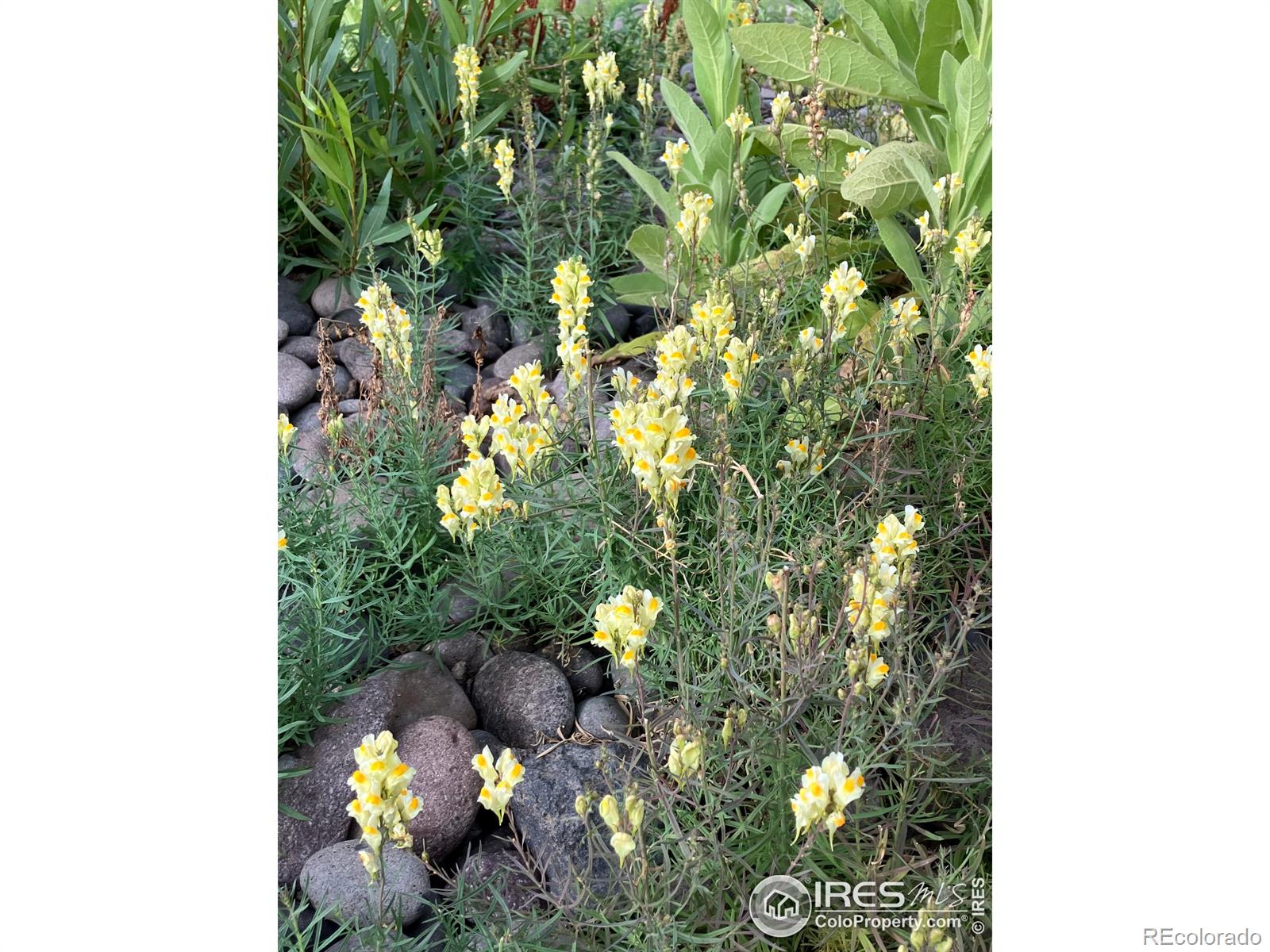 0 Cr-15 South Fork CO 81154