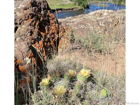 0 Cr-15 South Fork CO 81154