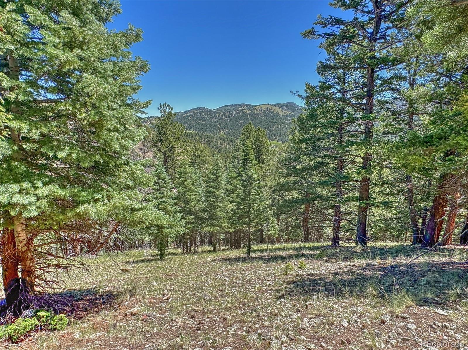 796 N Matterhorn Circle Westcliffe CO 81252