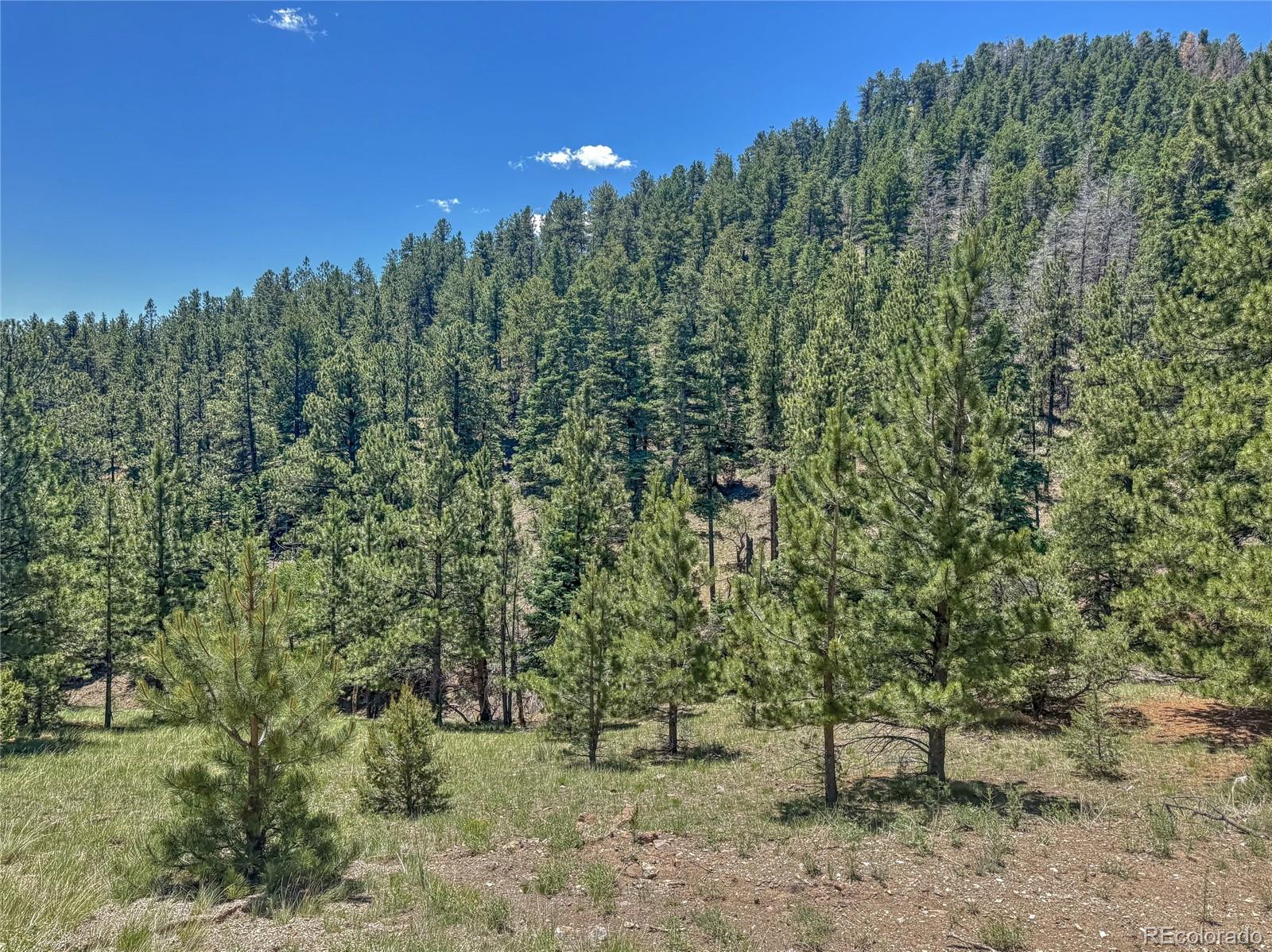 796 N Matterhorn Circle Westcliffe CO 81252
